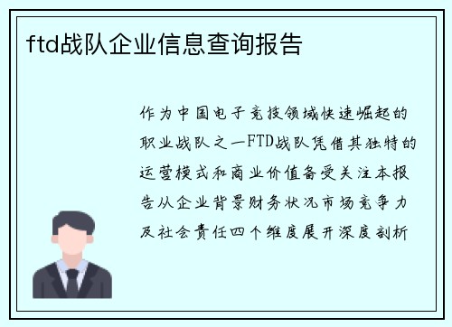ftd战队企业信息查询报告